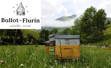 ballot-flurin.jpg
