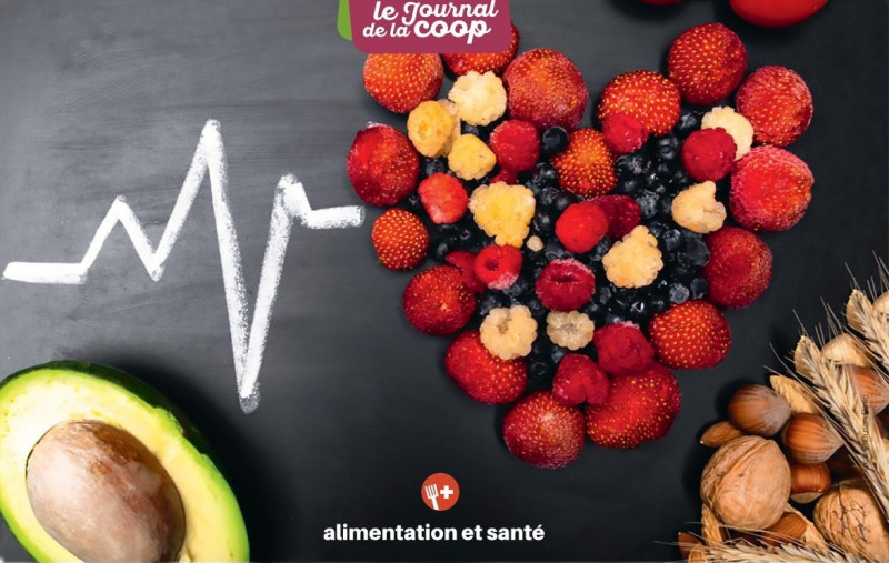 image cholesterol article