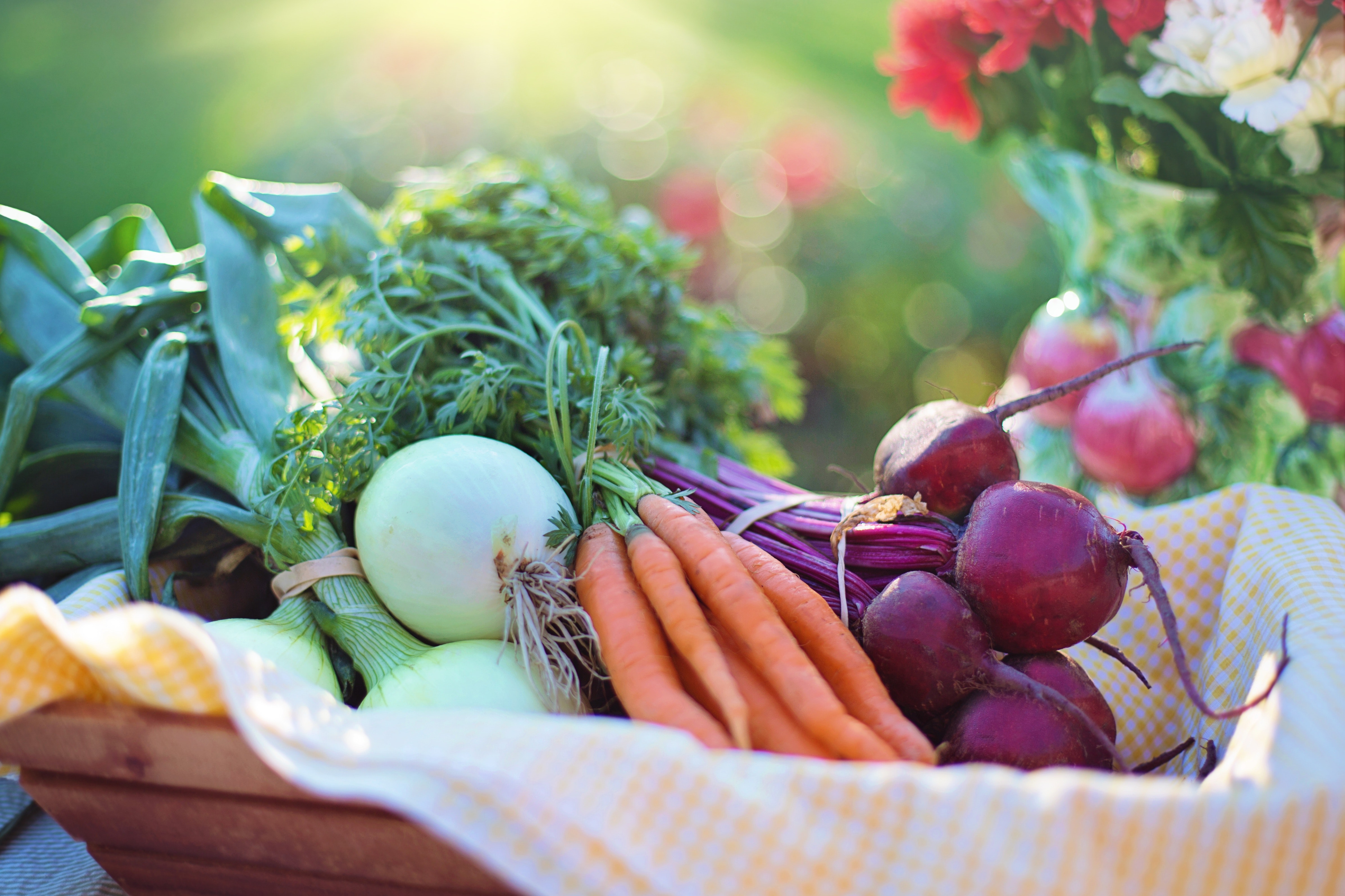 agriculture-basket-beets-533360