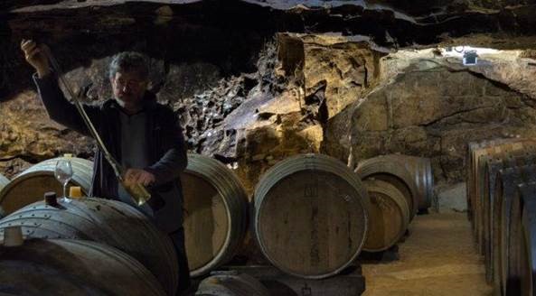 caves domaine lambert