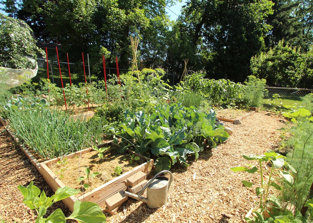 photo jardin canicule