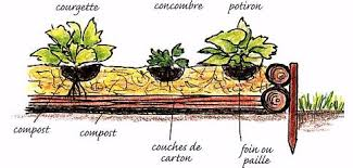 photo jardin lasagnes 2