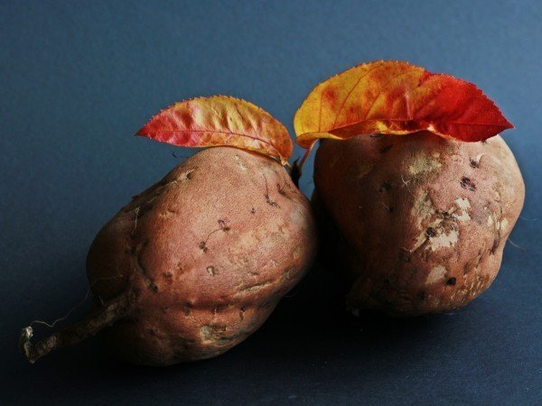 sweet-potato-potato-eat-food-tasty-agriculture