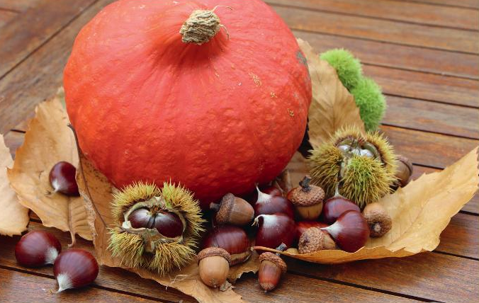 photo courge
