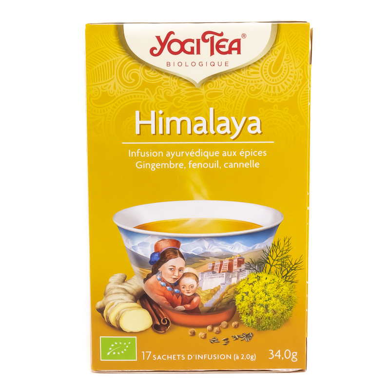 Infusion Ayurvédique aux Épices Himalaya Bio 17 sachets