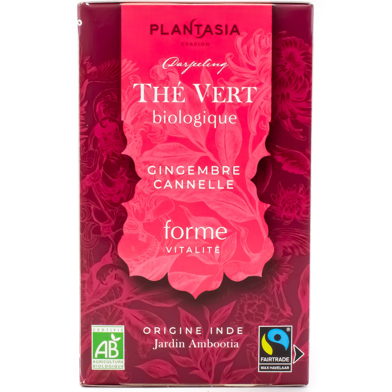 Thé Vert Gingembre Cannelle Bio 18 sachets