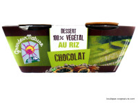 Dessert au Riz & Chocolat Bio 2x100g