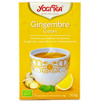 Infusion Ayurvédique Gingembre Bio 17 sachets