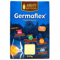 Germaflex Complément Articulations 210g