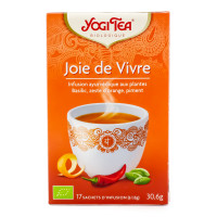 Infusion Ayurvédique Joie de Vivre Bio 17 sachets