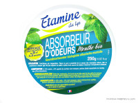 Absorbeur d'Odeurs Menthe 250g