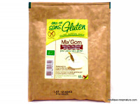 Mix'Gom Liant pour Pain Sans Gluten Bio 60g