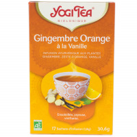 Infusion Ayurvédique Gingembre Orange à la Vanille Bio 17 Sachets