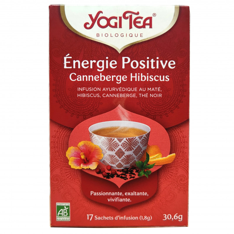 Infusion Ayurvédique Energie Positive Bio 17 Sachets