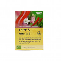 Tisane Force Et Energie Bio 30g