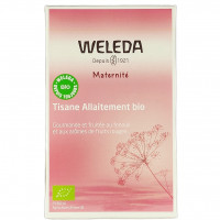 Tisane Allaitement Fruits Rouges x20 Bio