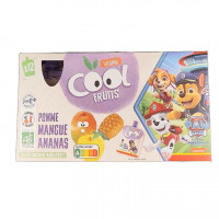 Cool Fruits Pomme Mangue Ananas 12x90g Bio