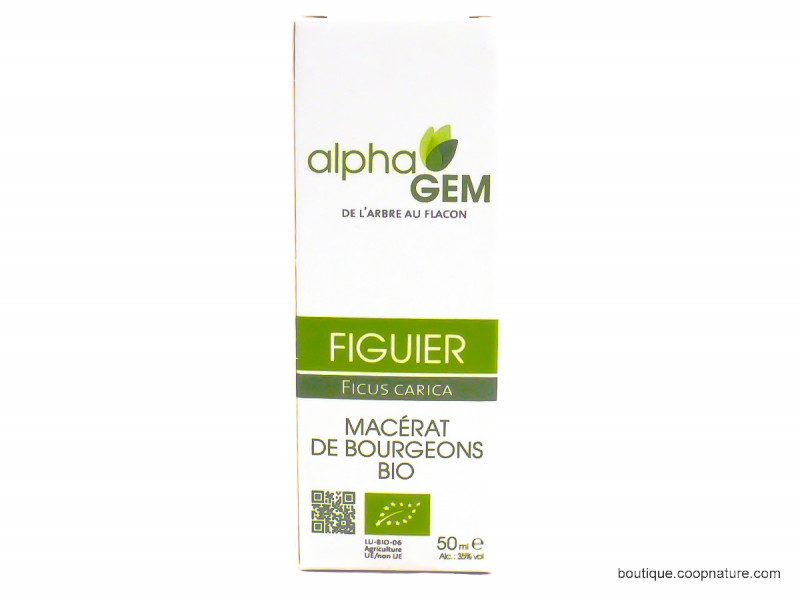 Macérât de Bourgeons de Figuier Bio 50ml