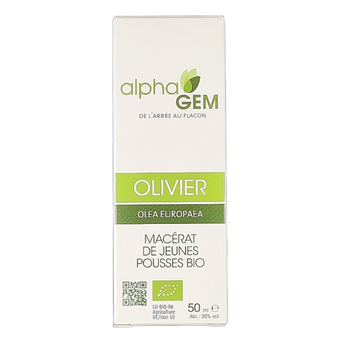 Macérat de jeunes Pousses Bio Olivier