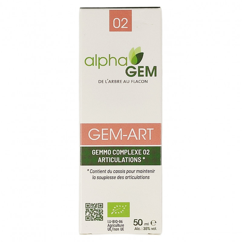 Complexe de Gemmotherapie Gem-Art 50mL Bio