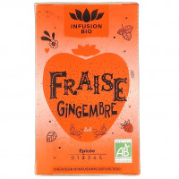 Tisane Fraise Gingembre x16 Bio