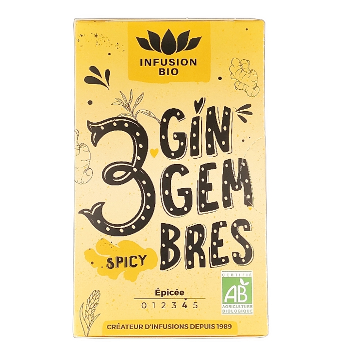 Tisane 3 Gingembres Epicée x16 Bio
