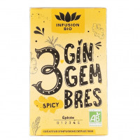 Tisane 3 Gingembres Epicée x16 Bio
