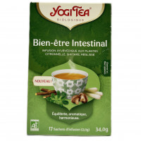 Infusion Ayurvédique Bien Être Intestinal Bio 34g