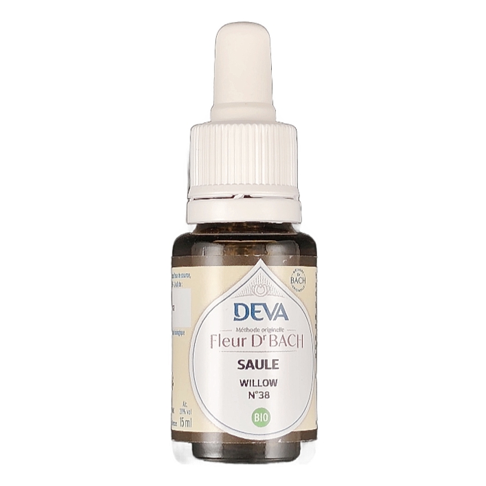 Saule n°38 15ml