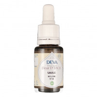 Saule n°38 15ml