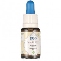 Prunus n°6 15ml