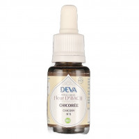 Chicorée n°8 Bio 15ml