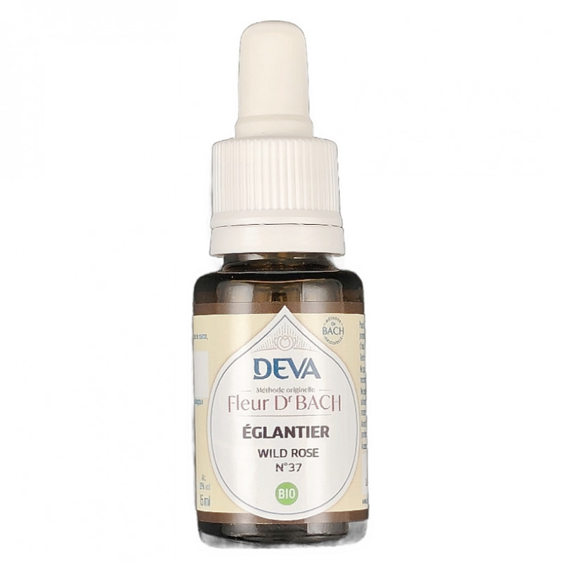 Eglantier n°37 15ml