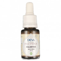 Eglantier n°37 15ml