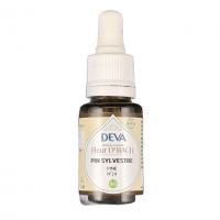Pin Sylvestre n°24 15ml