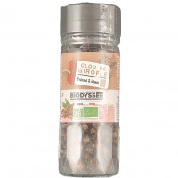 Clou de Girofle Entier 30g Bio