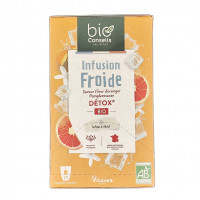Infusion Froide Détox x20 Bio