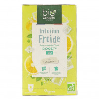 Infusion Froide Boost x20 Bio