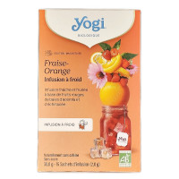 Infusion Fraise Orange Bio 15 sachets
